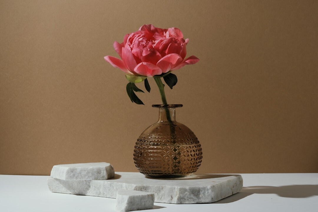 Designer acetate sunglasses on a marble pedestal